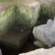 Heboh Dugaan Candi Raksasa di Kediri! Situs Adan-Adan Disebut Berpotensi Lebih Besar dari Borobudur
