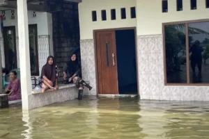 Banjir Bengawan Jero Meluas, Hampir 5.000 Rumah di Lamongan Terendam 20 Ribu Warga Terdampak