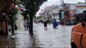 Hujan Deras Picu Banjir di Kota Jember, Sejumlah Jalan dan Permukiman Tergenang