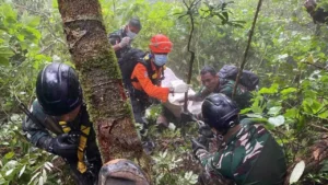 Black Box Pesawat ATR 42-500 Ditemukan di Gunung Bulusaraung, Tim Gabungan Hadapi Medan Ekstrem