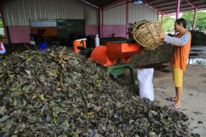 Olah Sampah Jadi Kompos, DLH Surabaya Hemat Biaya Angkut hingga Rp6,73 Miliar per Tahun