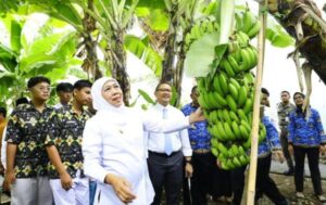 Pemprov Jatim Luncurkan Program SIKAP, Tanamkan Ketahanan Pangan Sejak Bangku Sekolah