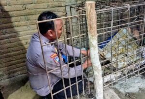 Viral ODGJ Dipasung 20 Tahun di Ponorogo, Keluarga Mengaku Demi Keselamatan