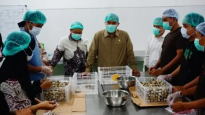 Anggota Komisi VII DPR RI Tinjau SPPG Suko Sidoarjo, Pastikan Kualitas MBG Selama Ramadhan