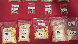 Polda Metro Jaya Gagalkan Peredaran 738 Butir Ekstasi di Jakarta, Dua Warga Lampung Ditangkap