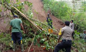 Tanah Longsor Tutup Akses Dua Dusun di Ampelgading Malang, 1.213 Jiwa Terdampak