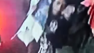 Viral Pria Diduga Gendong Mayat di Tambora, Polisi Pastikan Itu Biawak Hidup