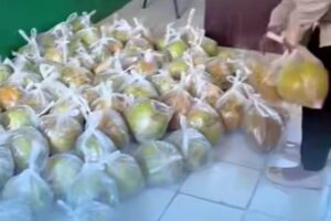 Viral Siswa SD Terima Kelapa Muda Utuh dalam Program MBG, SPPG Kaltim Klarifikasi Menu Lengkap