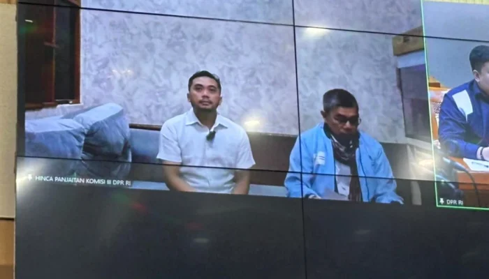 Kasus Videografer Karo Disorot DPR: Habiburokhman Dorong Amsal Sitepu Dibebaskan, Jangan Matikan Industri Kreatif