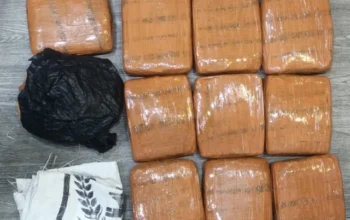 10 Kg Ganja Digagalkan di Grogol, 2 Pengedar Ditangkap Polda Metro Jaya Usai Laporan Warga