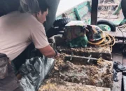 Kronologi : 7 ABK Ditangkap Usai Curi Besi Tiang Pancang Suramadu, Polisi Ungkap Aksi Sudah 21 Kali