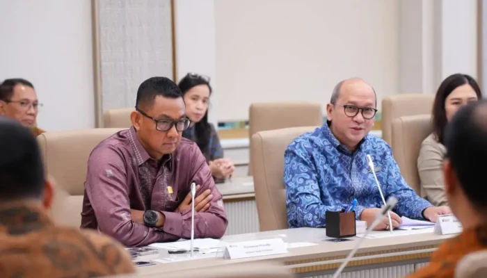 PLN Bangun Dua PLTS 1 MW di Sumenep, 2.000 KK Pulau Terluar Segera Nikmati Listrik Energi Surya