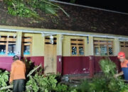 Angin Kencang Terjang Jember, 4 Sekolah Rusak, 50 Pohon Tumbang dan Gudang Tembakau Roboh