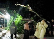 Hujan Deras Picu Banjir di Situbondo, Puluhan Rumah Terendam hingga 50 Cm di Sejumlah Kecamatan