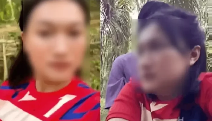 Viral Video Perkebunan Sawit Hebohkan Medsos, Warganet Diminta Waspada Link Berbahaya dan Jerat UU ITE