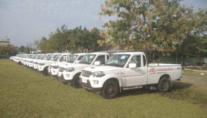 Ribuan Pikap Impor India Tetap Disalurkan ke Kopdes Merah Putih, Pemerintah Akui Tuai Kontroversi