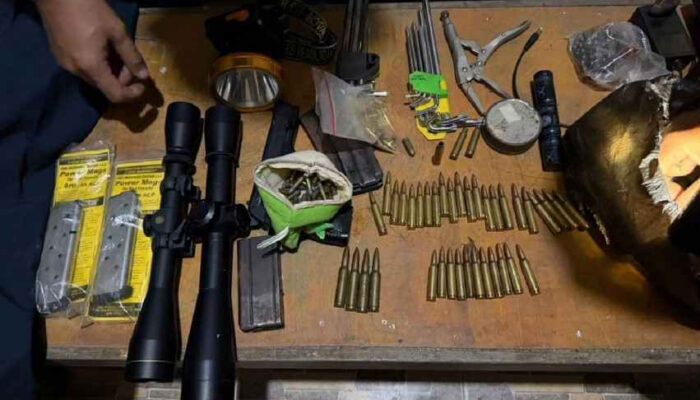 Polda Riau Tangkap Terduga Pembunuh Gajah Sumatera di Pelalawan, Barang Bukti Gading dan Senjata Api Disita