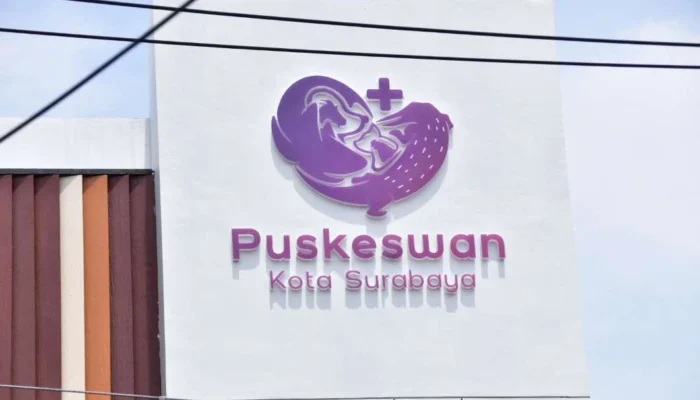 Mudik Tenang! Pemkot Surabaya Buka Penitipan Hewan Lebaran 2026, Tarif Mulai Rp30 Ribu per Hari