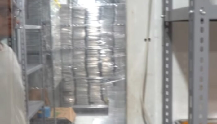 Viral! Dapur MBG Semarang Kotor dan Penuh Buah Busuk, SPPG Lempongsari Disetop Sementara Usai Sidak BGN