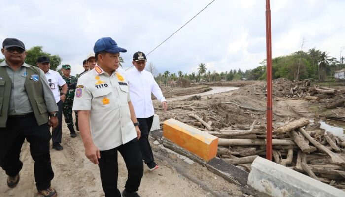 Satgas PRR Manfaatkan Kayu Hanyutan untuk Rehabilitasi Pascabencana di Aceh, Sumut, dan Sumbar