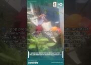 Viral Anak SD Menangis Saat Bawa Pulang Makan Bergizi Gratis, Kisah Haru MBG Ini Bikin Warganet Tersentuh