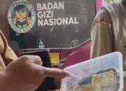 Viral Video Lele Mentah Menu MBG di Pamekasan, BGN Hentikan Sementara Operasional SPPG Pademawu