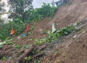 Tragis! Pencari Rumput Tewas Tertimbun Longsor di Wlingi Blitar Saat Hujan Deras, BPBD Imbau Warga Waspada