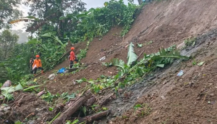 Tragis! Pencari Rumput Tewas Tertimbun Longsor di Wlingi Blitar Saat Hujan Deras, BPBD Imbau Warga Waspada