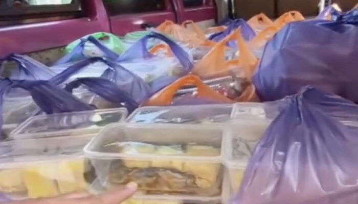 Viral Menu MBG Berisi Lele Mentah di Pamekasan, BGN Klarifikasi: Itu Lele Marinasi untuk Program Gizi