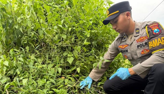 Polisi Gerebek Rumah Perakit Petasan di Ponorogo, Ratusan Selongsong Mercon dan Bahan Peledak Disita