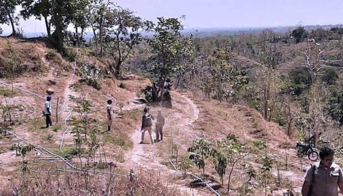 Tambang Emas Tumpang Pitu Serahkan Lahan Kompensasi 2.016 Hektare ke KLHK, Terluas di Indonesia