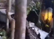 Helikopter Airbus H130 Hilang Kontak di Sekadau, Basarnas Temukan Serpihan Diduga Ekor