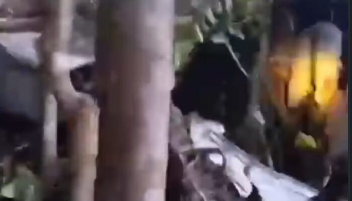 Helikopter Airbus H130 Hilang Kontak di Sekadau, Basarnas Temukan Serpihan Diduga Ekor