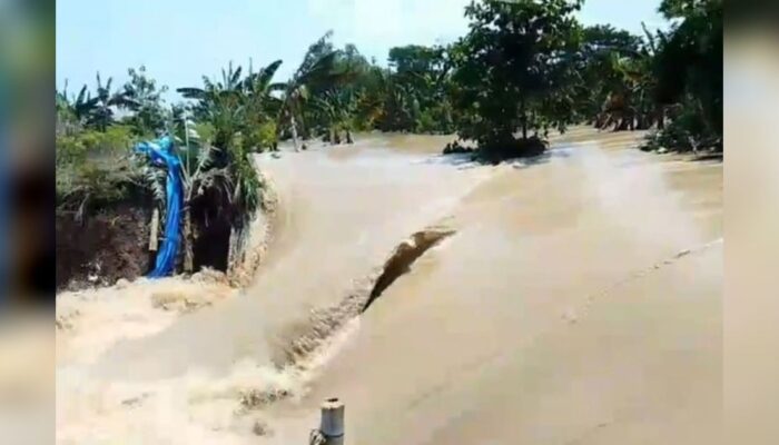 Banjir Demak Meluas, 2.839 Warga Mengungsi, Tanggul Jebol Picu Genangan Hingga 1,5 Meter