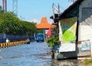 Banjir Rob Rendam Surabaya! Jalan Kalimas Tergenang 25 Cm, BMKG Ungkap Penyebabnya
