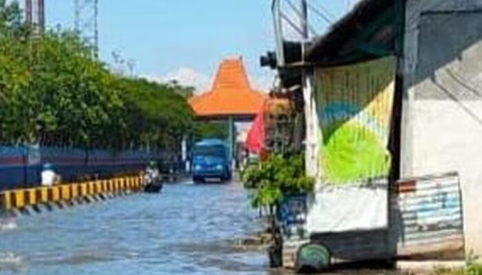 Banjir Rob Rendam Surabaya! Jalan Kalimas Tergenang 25 Cm, BMKG Ungkap Penyebabnya