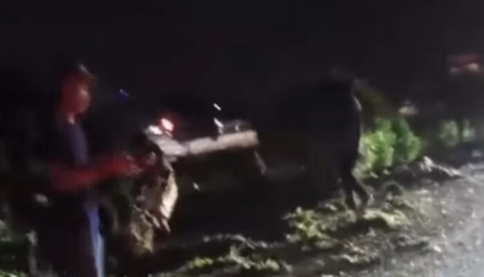 Tragedi di Tol Jombang-Mojokerto: Bus Restu Terguling, 1 Tewas dan 11 Luka Berat