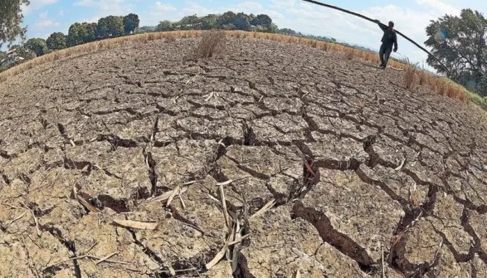 El Nino “Godzilla” Ancam RI 2026! Kemarau Lebih Panjang & Kekeringan Ekstrem di Depan Mata