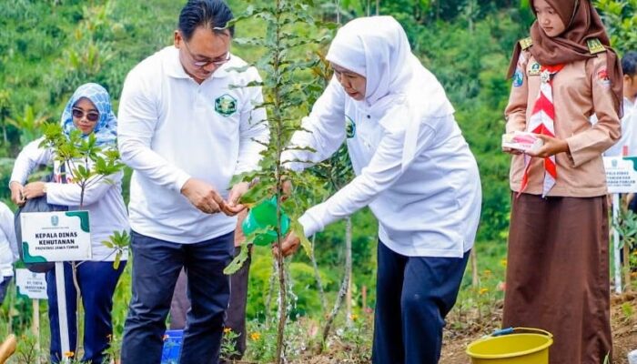 Fantastis! NTE KTH Jatim Tembus Rp367,95 Miliar, Tertinggi Nasional, Bukti Ekonomi Hutan Rakyat Makin Mendunia