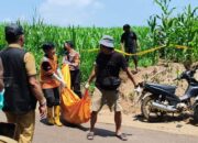 Geger! Mayat Pemuda Ditemukan di Kebun Jagung Wonosalam Jombang