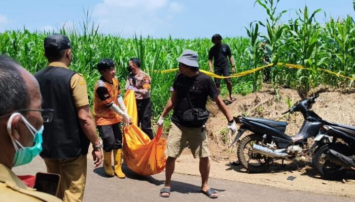 Geger! Mayat Pemuda Ditemukan di Kebun Jagung Wonosalam Jombang