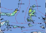 Gempa M 7,6 Guncang Bitung–Ternate, BNPB Catat Kerusakan & Korban, Tsunami Kecil Terpantau