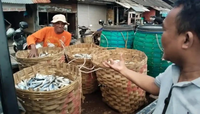 Harga Ikan di Lamongan Anjlok Hingga 50 Persen, Petani Rugi Akibat Panen Raya dan Banjir