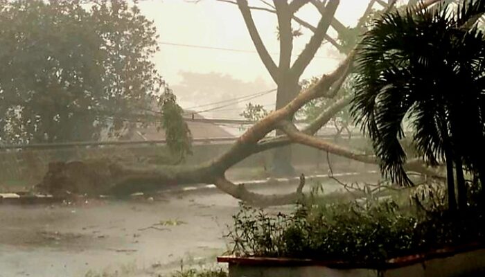 Hujan Es Guncang Bandung, BMKG Peringatkan Cuaca Ekstrem Pancaroba Masih Mengintai