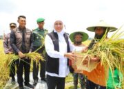 Jatim Bidik Luas Tanam 13,8 Juta Hektar di 2026, Strategi Hadapi El Nino Diperkuat