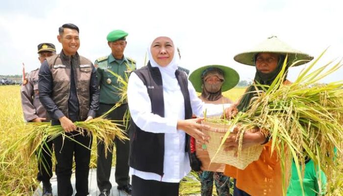 Jatim Bidik Luas Tanam 13,8 Juta Hektar di 2026, Strategi Hadapi El Nino Diperkuat