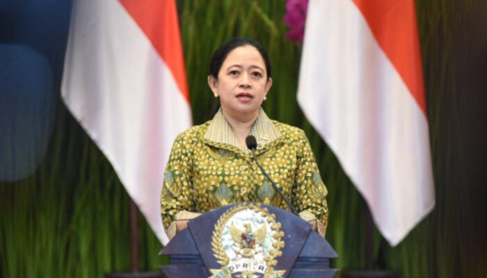 Ketua DPR Puan Maharani Soroti Banjir Besar Demak, Anak 8 Tahun Tewas: Tekankan Mitigasi Bencana dan Perlindungan Petani