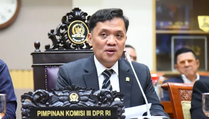 Komisi III DPR Murka! Kejari Karo Dipanggil Usai Vonis Bebas Amsal, Diduga Ada ‘Perlawanan’ Aparat