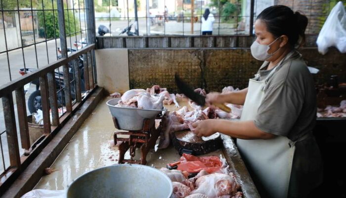 Berkah MBG! Usaha Pemotongan Ayam di Karanganyar Kebanjiran Pesanan, Produksi Tembus 2,3 Ton per Hari