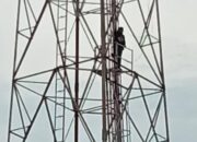 Pemuda 24 Tahun di Sidoarjo Selamat Usai Panjat Tower Selama 3 Jam, Diduga Depresi Akibat Asmara